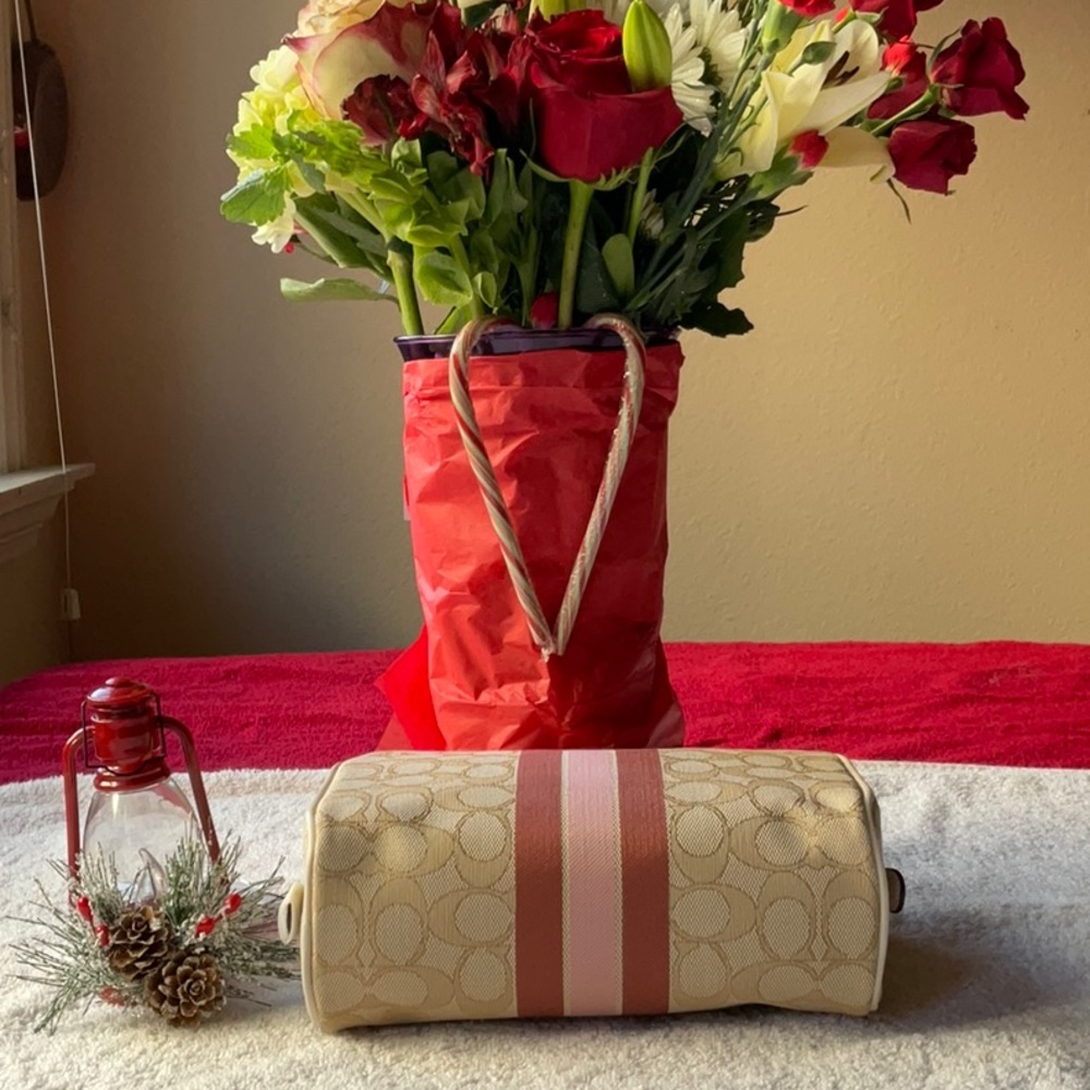 🎄 COACH DEMPSEY BOXY COSMETIC CASE 🎄 - Picture 6 of 16